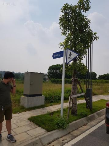 Bán đất nền biệt thự tại Thạch Thất, Hà Nội 12814149
