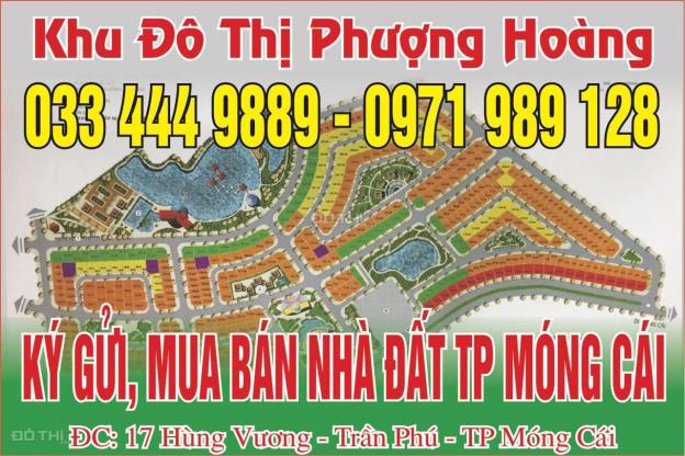 Bán 3 lô đất nền khu đô thị Phượng Hoàng, Hải Xuân, Tp Móng Cái 12815181