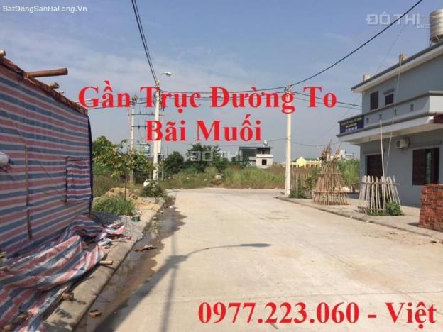 Bán lô A13-20 ô góc trục đường đôi TĐC Bãi Muối, P. Cao Thắng, Hạ Long 12818414