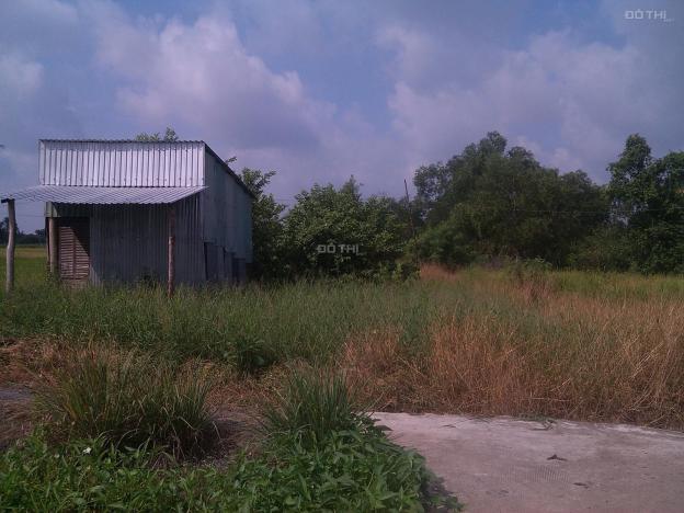 Cho thuê đất hoặc hợp tác làm nông nghiệp tại xã Trường Bình, huyện Cần Giuộc, tỉnh Long An 12819665