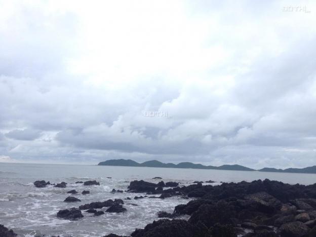 Tôi thích sự hoang sơ của biển Phú Yên! Dự án Nam Tuy Hòa 12824893