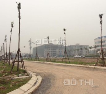 Đất mặt tiền kinh doanh Trịnh Thị Miếng, đường nhựa 15m, sổ riêng hỗ trợ tính thanh khoản 12831346