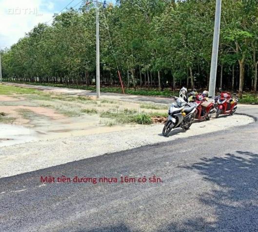 Bán một m2 đất giá siêu rẻ chỉ 500 nghìn đồng tại Chơn Thành 12834098