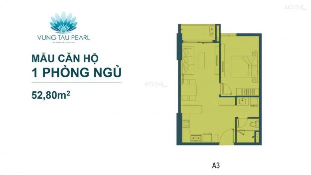 Hưng Thịnh nhận giữ chỗ dự án CH view biển, Vũng Tàu Pearl, TT chỉ 20%, 38 tr/m2. 0973961131 12834916