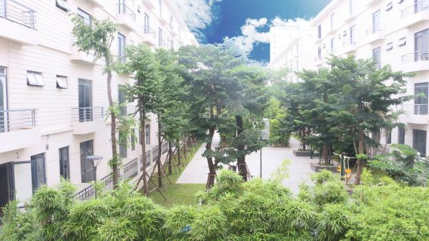 Nhà vườn Pandora Thanh Xuân trong quy hoạch mở đường Lương Thế Vinh tăng giá cực cao, cho thuê lãi 12835859