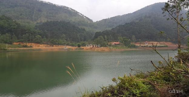 Chính chủ bán đất đập Hồ Đồng Đò, Sóc Sơn, 8000m2 + 3 ha đất rừng, giá cực rẻ 12843472