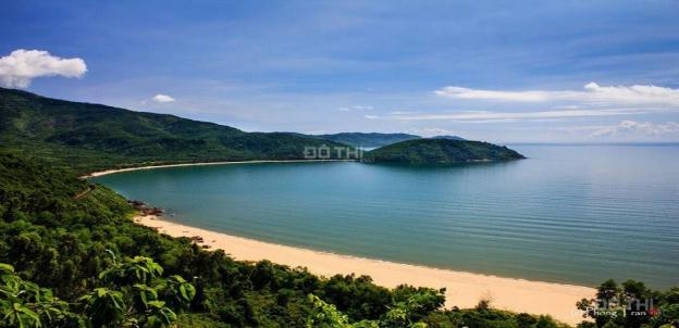 Bán đất mặt tiền biển Nguyễn Tất Thành 12845093