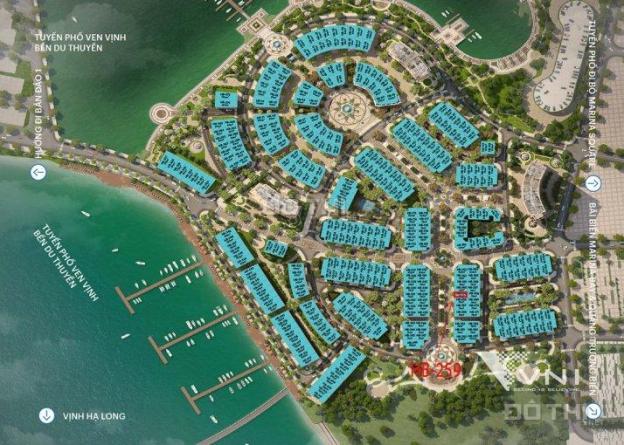 Bán cắt lỗ 1,5 tỷ 2 căn shophouse biển dự án Harbor Bay Hạ Long, đường Hoàng Quốc Việt 12849445