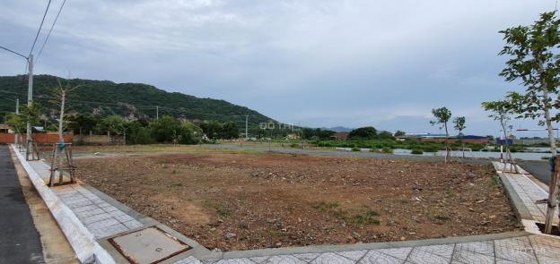 Bán đất nền dự án Long Hải New City tại Đường 44A, Xã Long Hải, Long Điền, Bà Rịa Vũng Tàu 12853169
