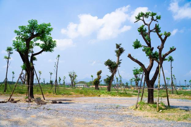 Bán đất nền cách TP Quảng Ngãi 1 km 12855595
