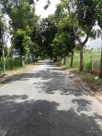 Bán đất khu Greenlife 13C đường Nguyễn Văn Linh, 85m2, SH riêng, giá 3.42 tỷ 12857099