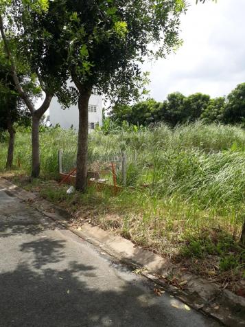 Bán đất khu Greenlife 13C đường Nguyễn Văn Linh, 85m2, SH riêng, giá 3.42 tỷ 12857099