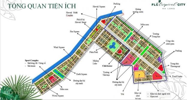 Bán đất nền dự án tại dự án FLC Tropical City Hạ Long, Hạ Long, Quảng Ninh 12858130
