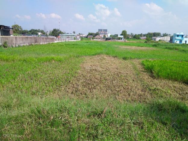 Bán đất xây xưởng xã Phước Thạnh, huyện Củ Chi. Giá siêu rẻ, SHR 12859937