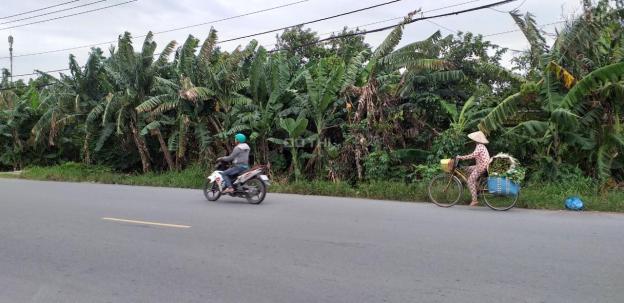 Bán lô đất vị trí đẹp xã An Bình, huyện Cao Lãnh, tiện KD, giá tốt 12869042