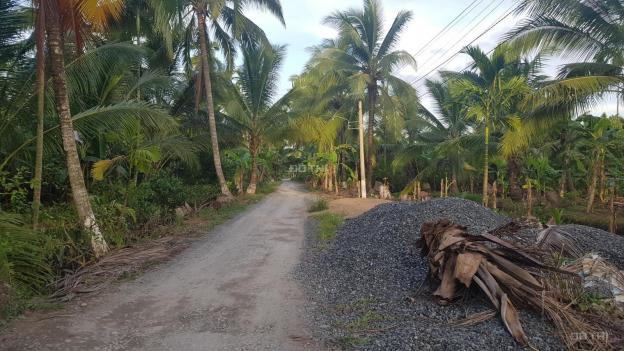 Đất Bến Tre vườn cây đẹp chăm sóc kỹ, một mặt giáp sông, đường ô tô, gần trung tâm. Rộng 17000m2 12875342