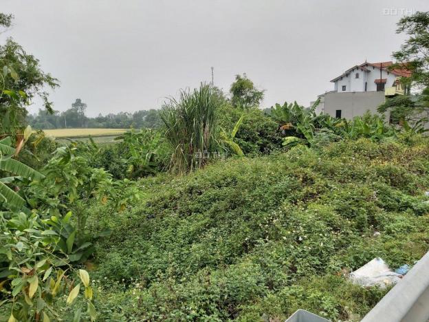 Bán đất tại đường Quốc lộ 1A, Xã Thanh Phong, Thanh Liêm, Hà Nam, diện tích 105m2, giá 780 triệu 12894624