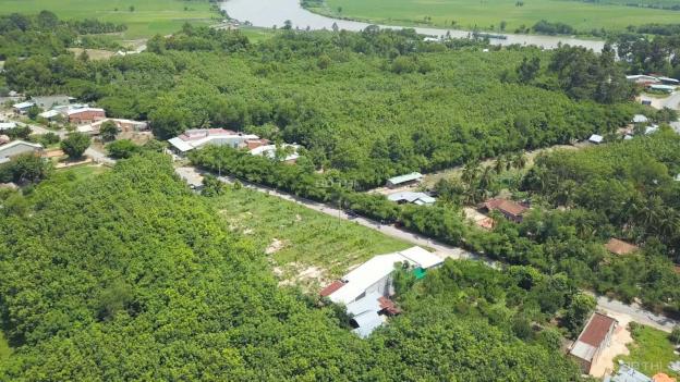 Dự án đất Tây Ninh có gì hot - có nên đầu tư dự án đất Tây Ninh 12898839