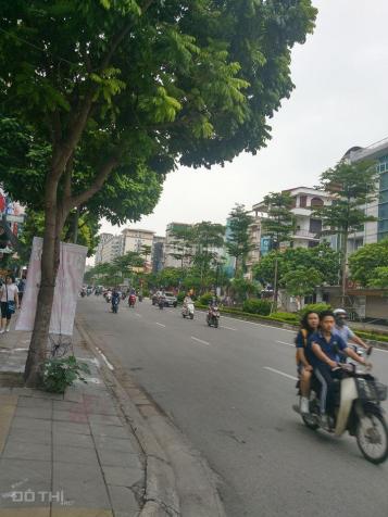 Bán gấp nhà mặt phố Phan Kế Bính kéo dài Linh Lang, Liễu Giai, Cống Vị, Ba Đình, DT 90m2, giá 28 tỷ 12913576