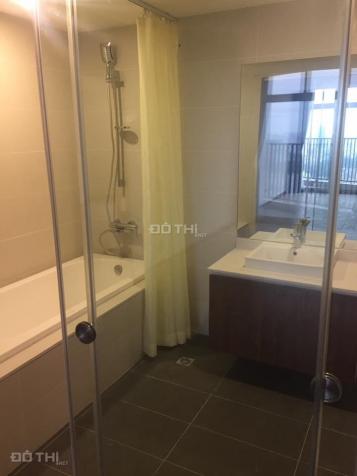 Cho thuê CHCC Discovery Complex 302 Cầu Giấy, căn góc 155m2, 3PN, 2WC, giá 17 tr/th 12915939