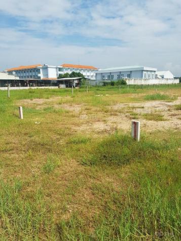 Bán đất thành phố tại xã Phước Hiệp, Củ Chi diện tích 125m2, giá 1,25 tỷ 12936534