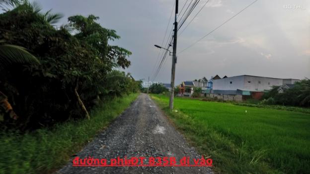 Bán 2 công đất ruộng mặt tiền đường Ấp Long Hưng, xã Long Thượng, Cần Giuộc, Long An 12958483