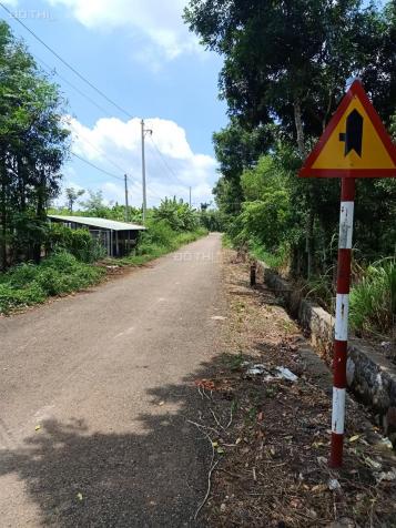 Bán trang trại 1,2ha xã Xuân Sơn, Châu Đức, Bà Rịa Vũng Tàu, giá 5 tỷ 12962106