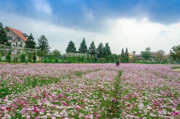 Chính chủ bán đất biệt thự The Phoenix Garden, 400m2, hướng Đông Nam, 18.5 tr/m2 12964101