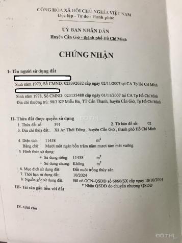 Cần bán gấp đất An Thới Đông, Cần Giờ 12973792