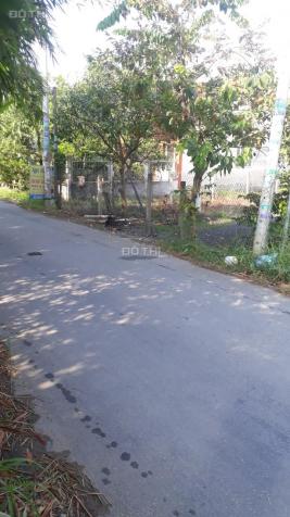 Chính chủ cần bán lô đất đẹp, giá rẻ tại Bình Chánh, TP. HCM 12974136