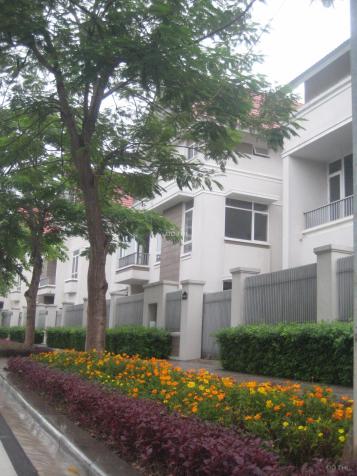 Cần cho thuê nhà riêng hoàn thiện đẹp mặt đường 40m - vị trí kinh doanh - khu ĐTM An Hưng 12991534
