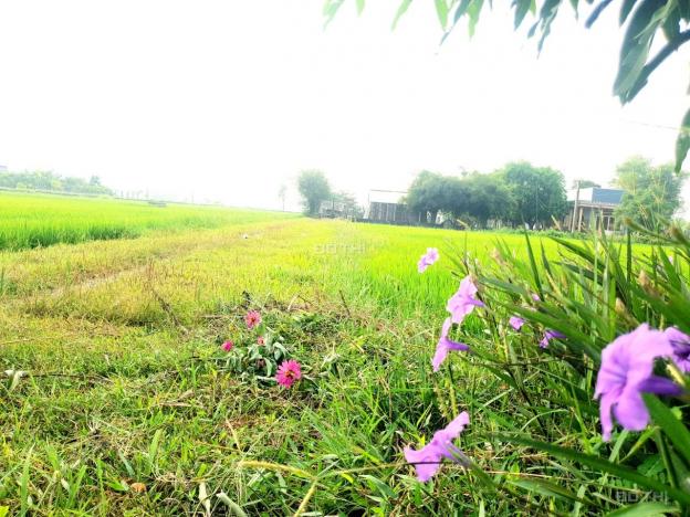 Bán đất tại đường N2, Xã Hoà Khánh Nam, Đức Hòa, Long An, diện tích 140m2, giá 550 triệu 12993078