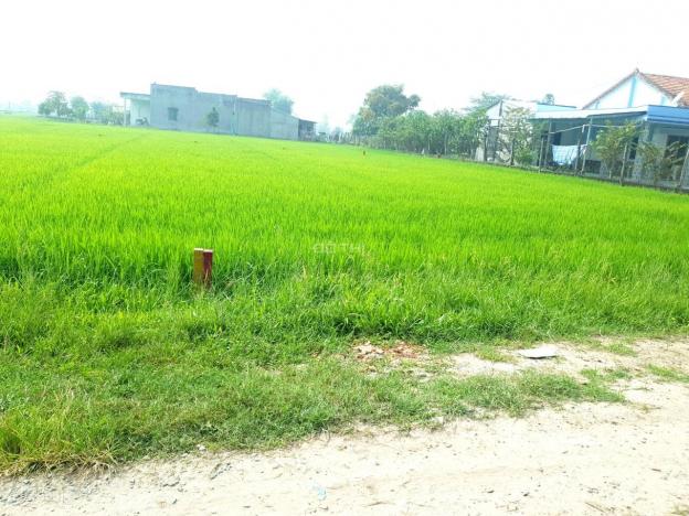 Bán đất tại đường N2, Xã Hoà Khánh Nam, Đức Hòa, Long An, diện tích 140m2, giá 550 triệu 12993078
