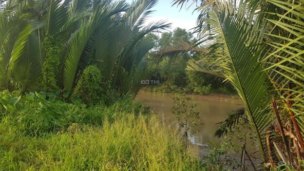 Đang kẹt bán rẻ 8 công đất MT sông, gần cầu Ba Lai xã Tam Phước, Châu Thành Bến Tre. Giá 650 tr 13013098