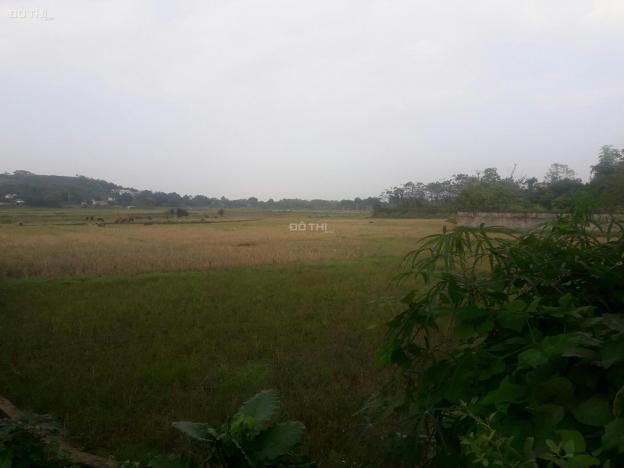 Bán đất Phú Mãn, dt 431m2, mặt tiền 17m. View cánh đồng, núi, trong đất có ao, hợp nghỉ dưỡng 13020742
