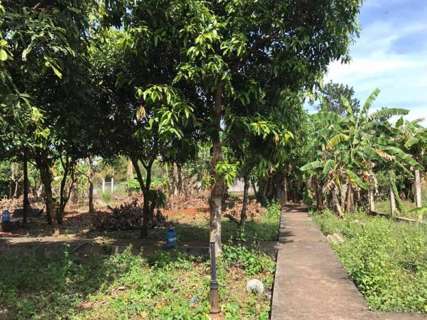 Bán nhà sân vườn tại xã Long Phước, Bà Rịa, Bà Rịa Vũng Tàu, diện tích 2801m2, giá 2 tỷ 13024404