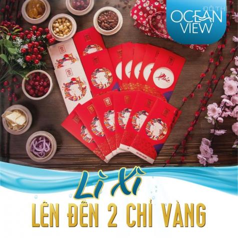 Bán đất nền ven biển tại dự án Ocean View, xã Vĩnh Tân, Tuy Phong, Bình Thuận 13036295