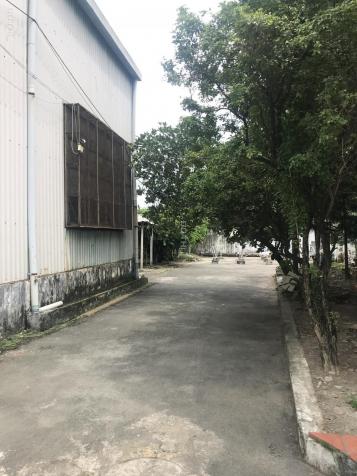 Bán xưởng 3600m2 (Thích hợp làm bãi xe container) cách QL13 chỉ 30m, P. Thuận Giao - Thuận An, BD 12873943