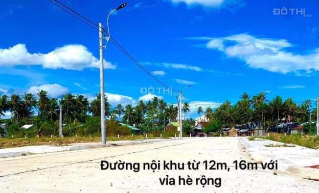 Mua mảnh đất giá rẻ như cho, không ngờ bên dưới chứa cả kho báu khủng 13051005