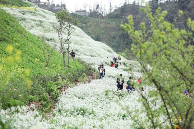 Bán đất Sa Pa thổ cư, kinh doanh, sổ đỏ, rẻ 4.8 tỷ 13058498