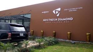 Căn hộ hạng sang 4PN tầng penthouse dự án Northern Diamond đối diện Aeon Mall Long Biên, 25 tr/m2 13058584