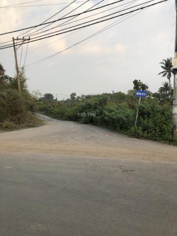 Bán đất biệt thự vườn phường Long Phước, Quận 9 diện tích 2028 mét vuông 13062607