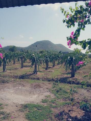 Bán rẻ 3,6 hecta đất trang trại đẹp xã Hồng Liêm, Bình Thuận, sổ đỏ 10117540