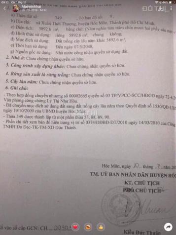 Bán đất trồng cây lâu năm, Xuân Thới Thượng, Hóc Môn, DT 5.892m2. Giá 20,5 tỷ TL 13074064