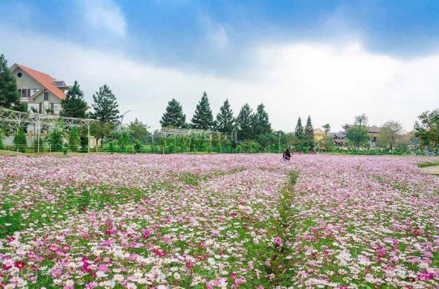 Bán lô góc vị trí đắc địa, biệt thự sinh thái The Phoenix Garden, Đan Phượng 13074194