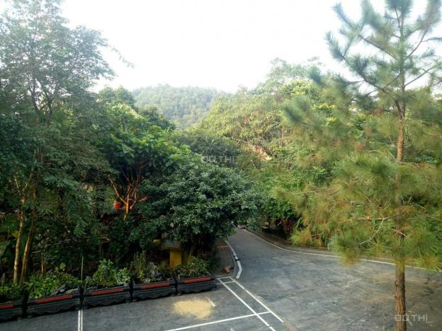 Bán gấp biệt thự nhà vườn 5000m2 ở Lương Sơn, Hòa Bình giá chỉ 4.x tỷ. LH 0943.346.523/0948.035.862 13076675