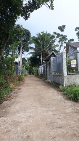 Bán đất vườn trái cây đang cho thu hoạch nằm ven thị trấn Dầu Giây 13081297