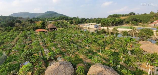 Cần bán nông trại có sẵn 2,5ha đang kinh doanh ở Lương Sơn Hòa Bình. LH 0943.346.523/0948.035.862 13086097