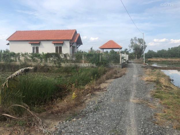 Chính chủ cần tiền bán gấp vài lô đất điểm đầu tư số 1 tại xã Phước Khánh, Nhơn Trạch, Đồng Nai 13086172