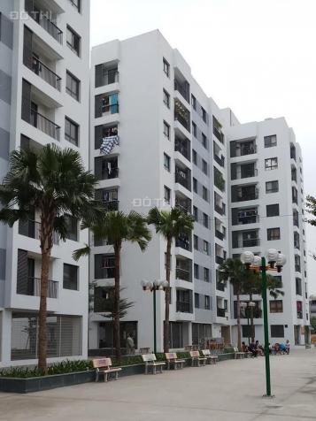 Chính chủ bán căn hộ chung cư Newtatco Lai Xá, Hoài Đức, Hà Nội, tòa nhà CT2 13089948